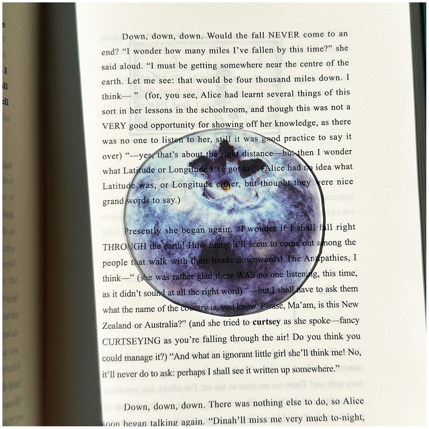 2PCS Cute Blueberries Acrylic Bookmarks Fruit Transparent Reading Bookmarks view 3