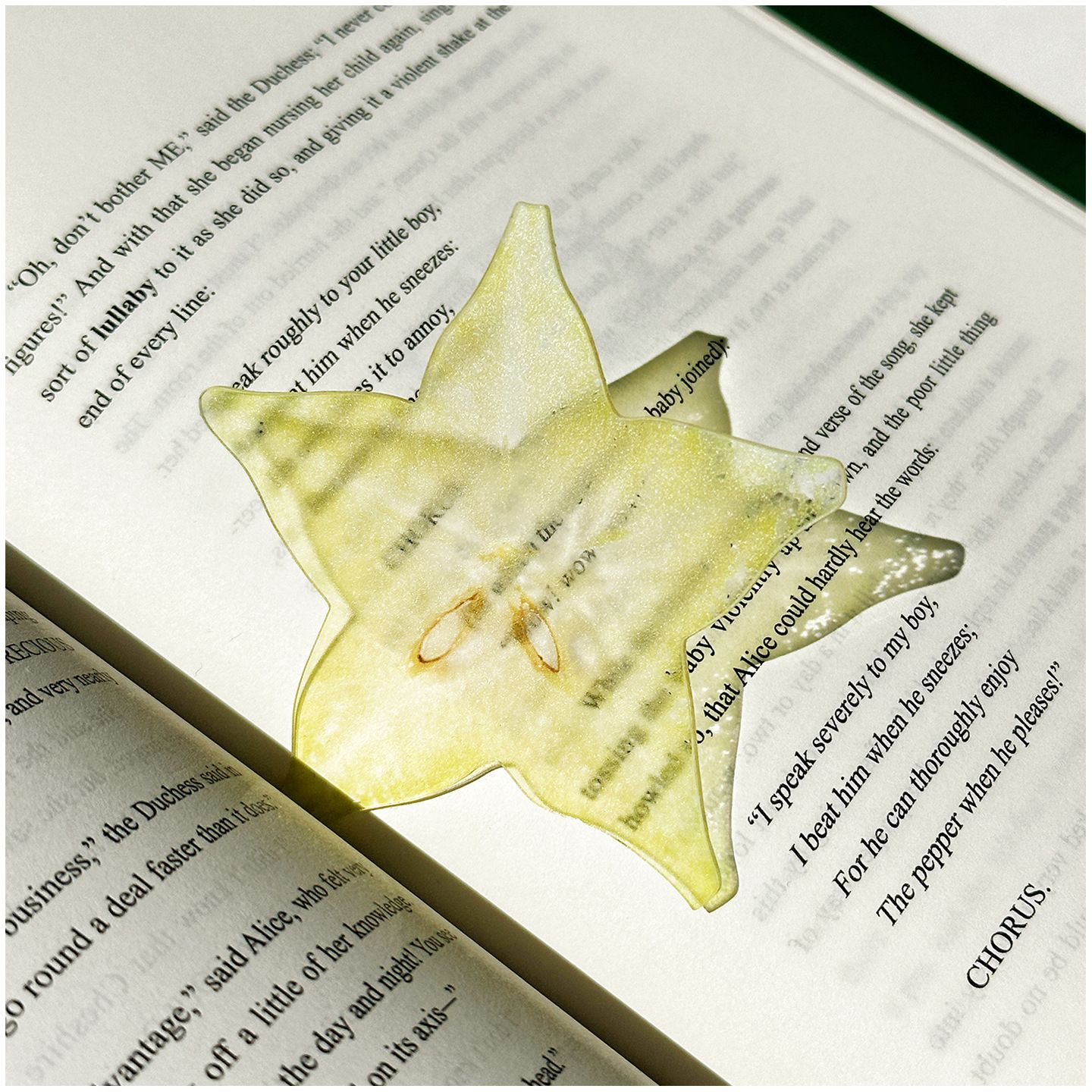 2PCS Cute Star fruit Acrylic Bookmarks Fruit Transparent Reading Bookmarks view 3