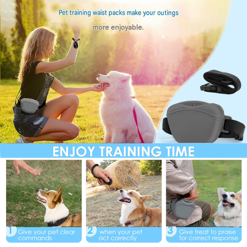 Grey Portable Silicone Pet Water Bottle and Treat Pouch Set - 550ml Foldable view 8