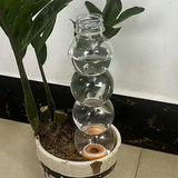 3-pack Gourd Shaped Self Watering Spike - 520ml Automatic Plant Waterer with view 5