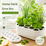4-pack White Hexagonal Hydroponic Regrowth Kit - 12*6*3cm PP Self-Watering view 3