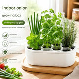 4-pack White Hexagonal Hydroponic Regrowth Kit - 12*6*3cm PP Self-Watering view 5
