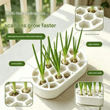 4-pack White Hexagonal Hydroponic Regrowth Kit - 12*6*3cm PP Self-Watering view 7