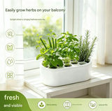 4-pack Black Hexagonal Hydroponic Regrowth Kit - 12*6*3cm PP Self-Watering view 4