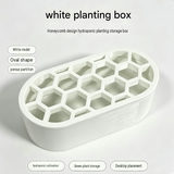 4-pack Black Hexagonal Hydroponic Regrowth Kit - 12*6*3cm PP Self-Watering view 6