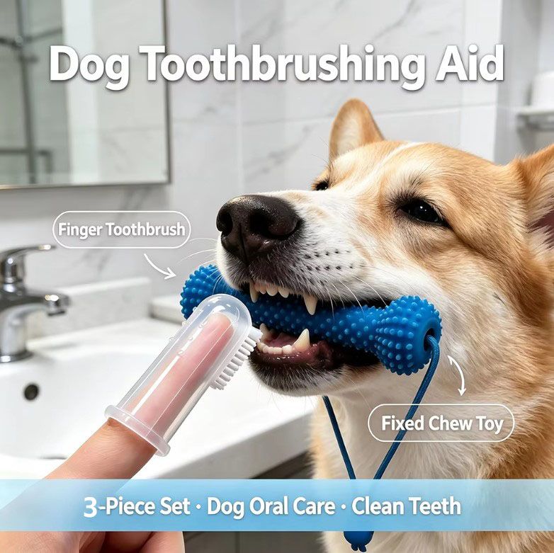 Dog Dental Chew Toy and Finger Brush Set - 8cm Blue Hands Free Chew Toy with 3 view 2
