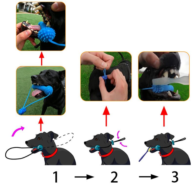 Dog Dental Chew Toy and Finger Brush Set - 8cm Blue Hands Free Chew Toy with 3 view 4